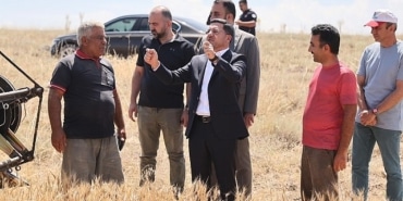 nevsehir-belediyesi-mulkiyeti-kendisine-ait-olan-arazilerden-ilk-bugday-hasadini-gerceklestirdi.jpg