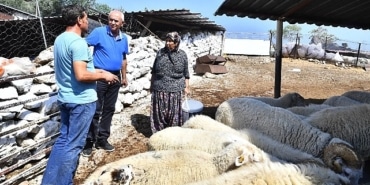 merasiz-kalan-hayvanlar-yem-destegiyle-yasama-tutundu-buyuksehir-yangindan-etkilenen-koylerin-yaralarini-sariyor.jpg